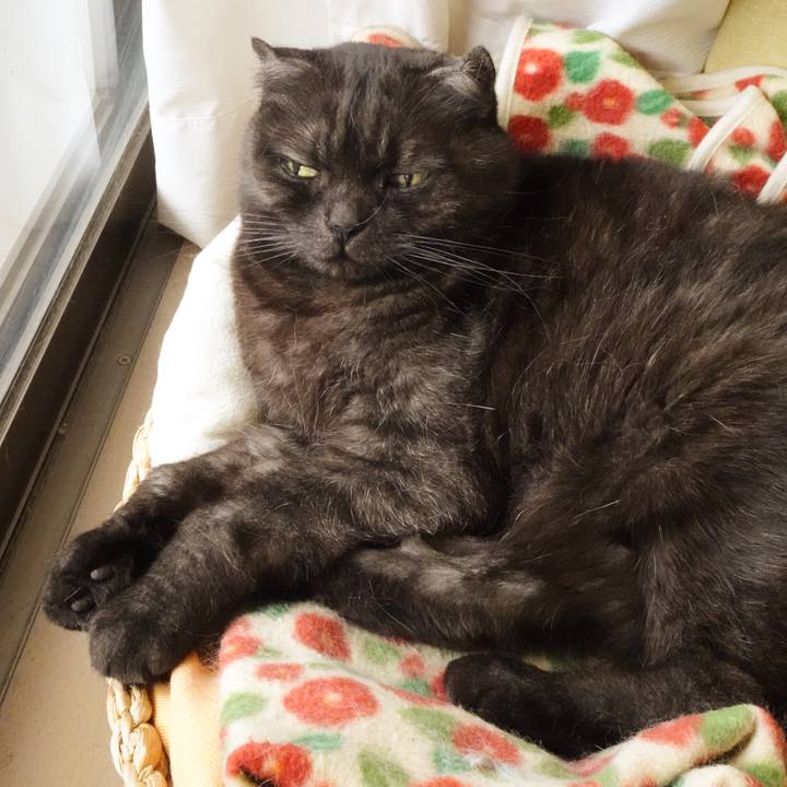 2c8ab039 0f6e 48a2 b20a a394ebbc46e9 1587661869630