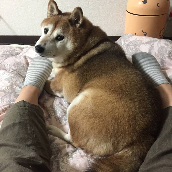 2c8acfd4 6ec9 48fa a478 42ad596c9c5a 1537618773734