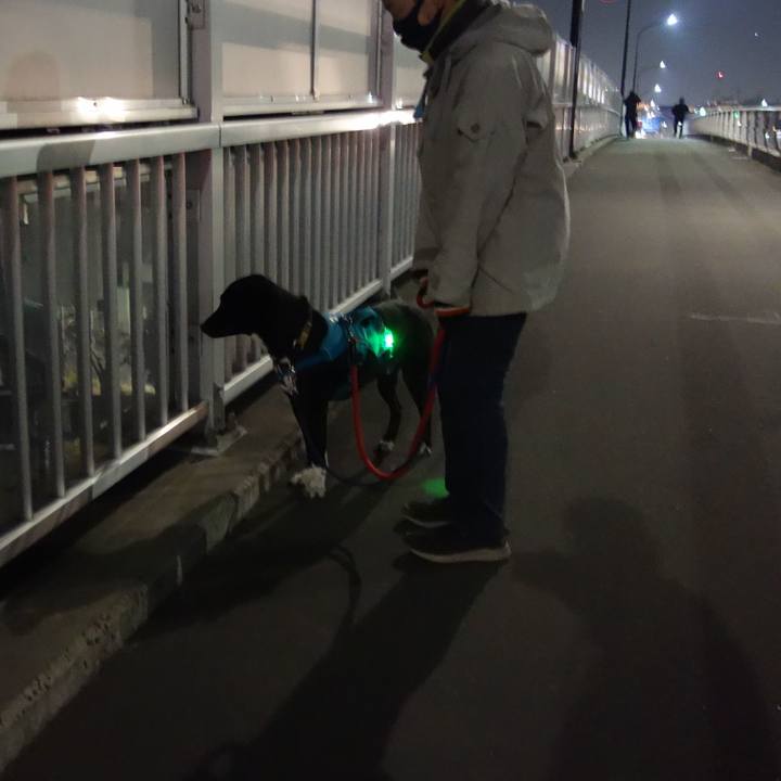 2c8aef53 9cc7 42a1 a692 7bbf80f822a7 1610965607928