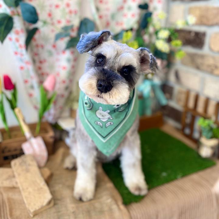 2c8b0a03 71bc 4078 b609 6bd3907ae53b 1682151894817