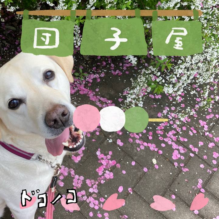 2c8b1cb4 699c 406e a1e6 1fb256c4dde5 1712731075521