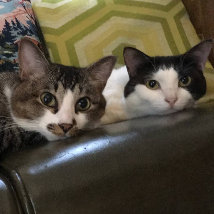 2c8b287a f537 4cb6 9030 55322d3d2d43 1572335493469