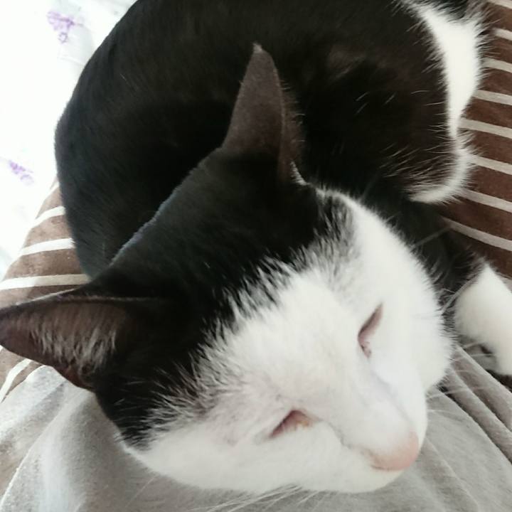 2c8b5924 5d3f 4c20 91d9 ffabc3ccf8f2 1510671742608