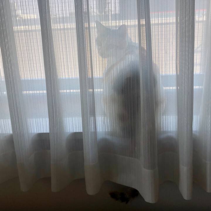 2c8b7ccc a27f 40a4 af7e e3fd8d8ab4d3 1593646466533