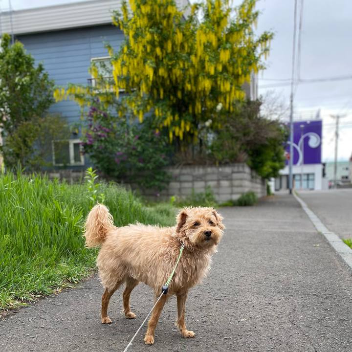 2c8bb4fb 0958 4ee9 835a ed792732660e 1622601628462