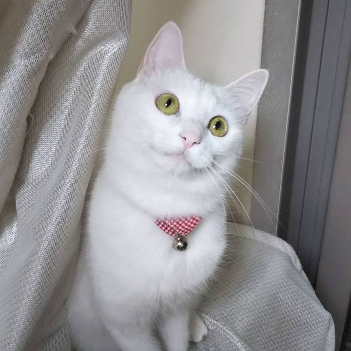 2c8bbd7b 0ff7 4006 8588 6ab1ccb40880 1627073095123