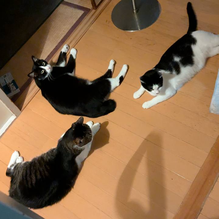 2c8be036 daa2 49f2 a7bf c0dcb214bcca 1753369962397