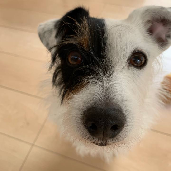 2c8c4182 ee8a 4794 857c 5e605e9d5371 1560813216558