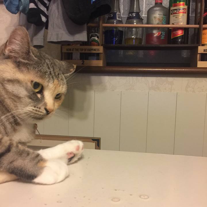 2c8c56b8 0410 4980 84c5 bee782be24df 1552921985243