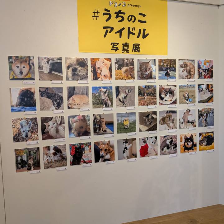 2c8c69e2 59e8 4dbf 9a0d 79372f3bc138 1766393176985