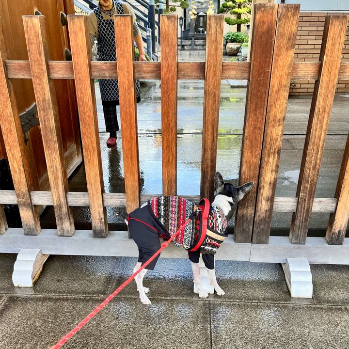 2c8ca094 d651 4087 a08d b9d63564fe67 1650069199508