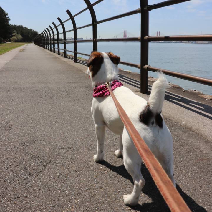 2c8cb495 b742 470e b76a 37a3c442e4cb 1521885882583