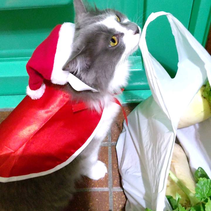 2c8cb919 8a30 4ae0 8ff0 51120d72427f 1607309547842