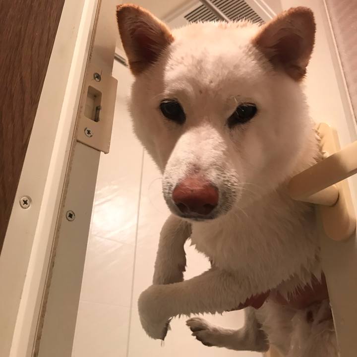 2c8d0b21 c9ea 4de9 8a47 79dacfa6d522 1557119000774