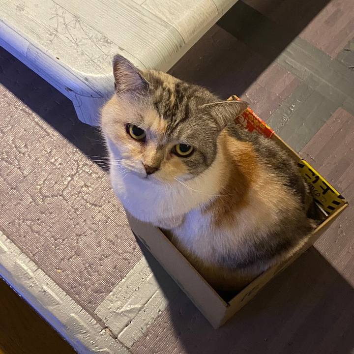 2c8d29af 2a52 40e0 9935 8b4e997c0d44 1683938257176