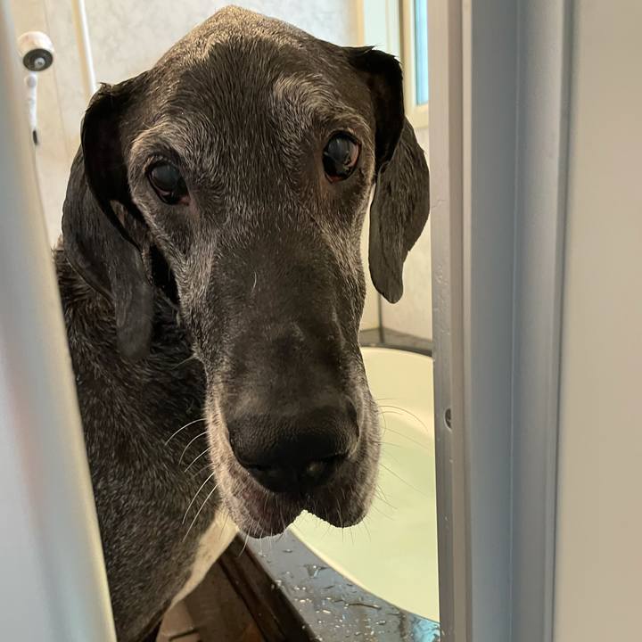 2c8d3b05 06d9 445b bab7 1be490d7476c 1621123501072