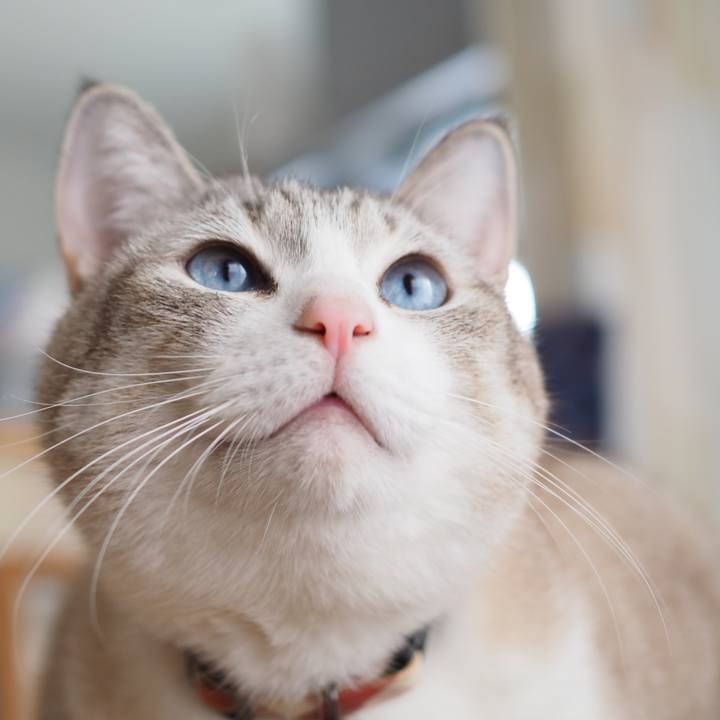 2c8d453b 75eb 40f1 ab4f 17a7c100c19c 1607850391004