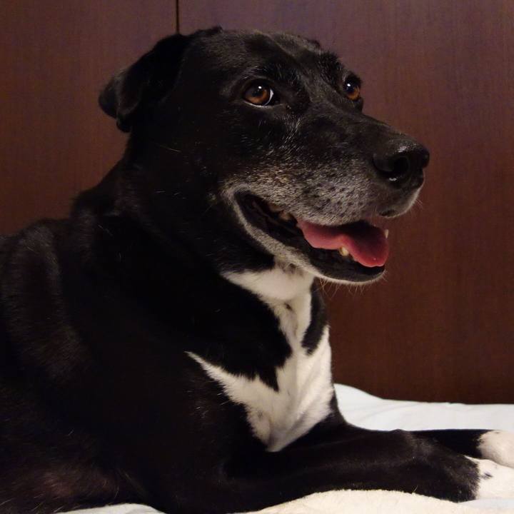 2c8d4bae 059f 409a a575 ee8b5c8ff8c7 1723331708062