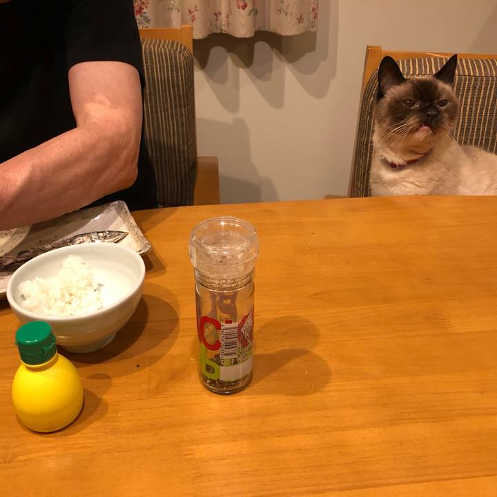 2c8d5501 8737 4436 ad45 7f21236b5375 1569071193681