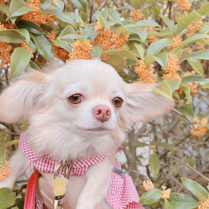 2c8d6616 6e16 4200 8ab0 b19526f71c8a 1666866287943