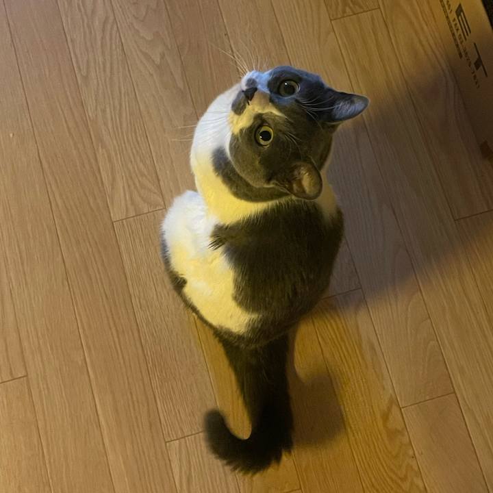 2c8daee7 fbe6 407d bbe1 dbe39c3a480a 1736637837094