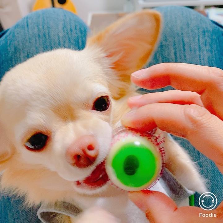 2c8dafe5 69fe 4aac b93c 1508e8736ad4 1634438992061