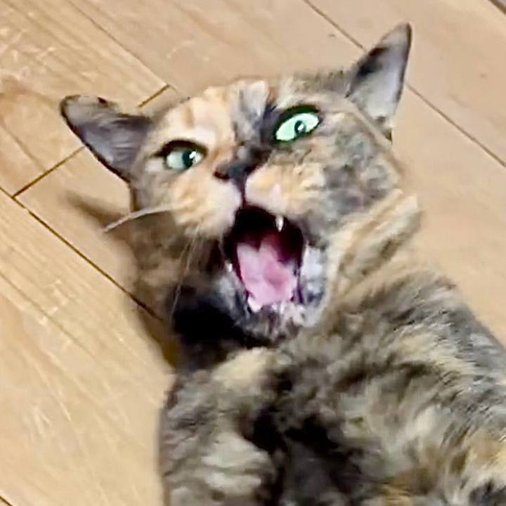 2c8dbaf1 96f5 4b15 b83d 6cb6d00e3cfc 1754127847772