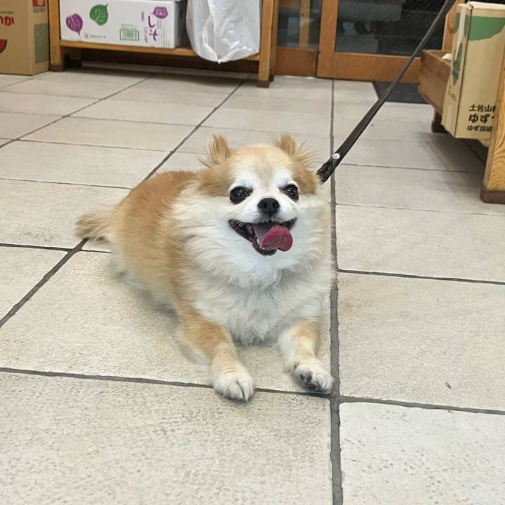 2c8dd9ce 5e94 49c4 9fd6 1f6dd45e3691 1755182021412