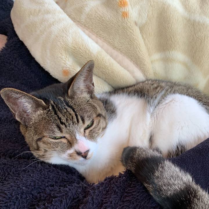 2c8df849 bc0a 4a41 9069 61129740e565 1555464707232