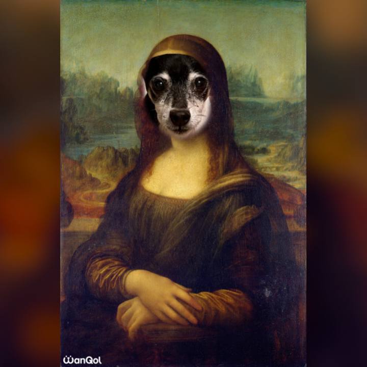 2c8e1d63 4ff7 49fb b4cd 8b6b41d05eb5 1634728434402