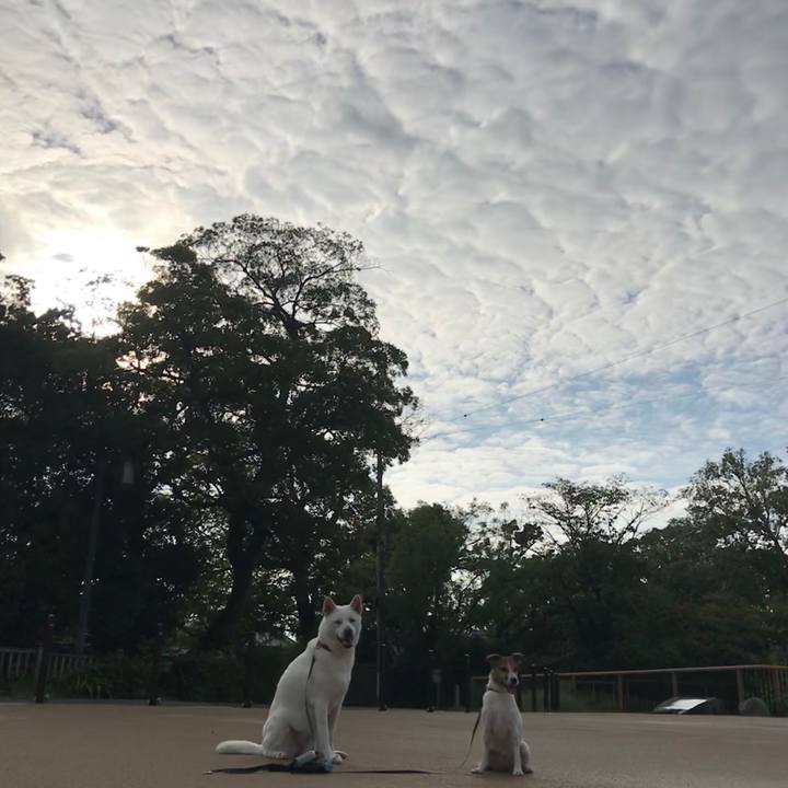 2c8e256c 22e4 4879 ae7b f36698d1772f 1537139444546