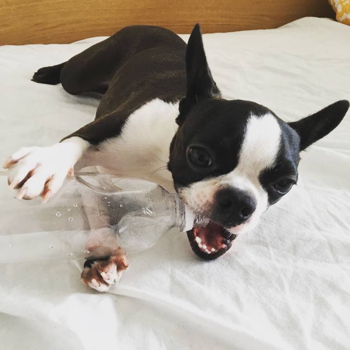 2c8e30d6 9be3 4173 9f1e 2e7d5e98fee1 1525227823441