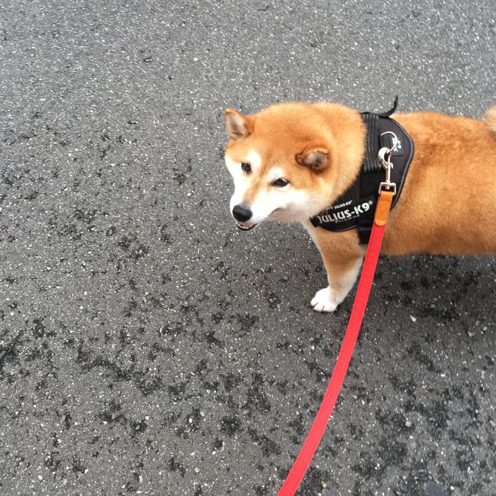 2c8e676e 209b 4e76 8cf9 3a73c41cc587 1594261235289