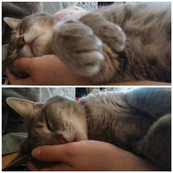 2c8e692b 7a4a 4a2d 9ee8 a7e3eaca8061 1561685576904