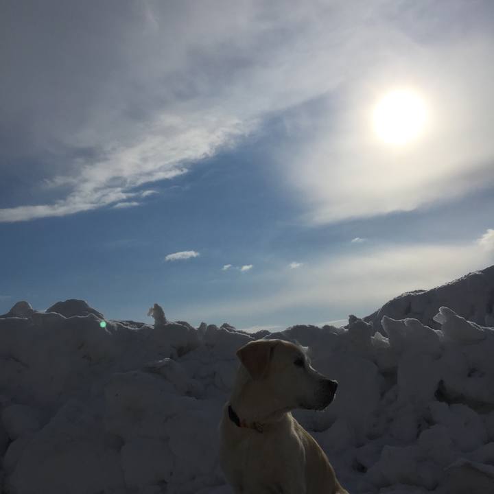 2c8e7420 bb41 41eb a84c e9bd4810a3a8 1518087020211