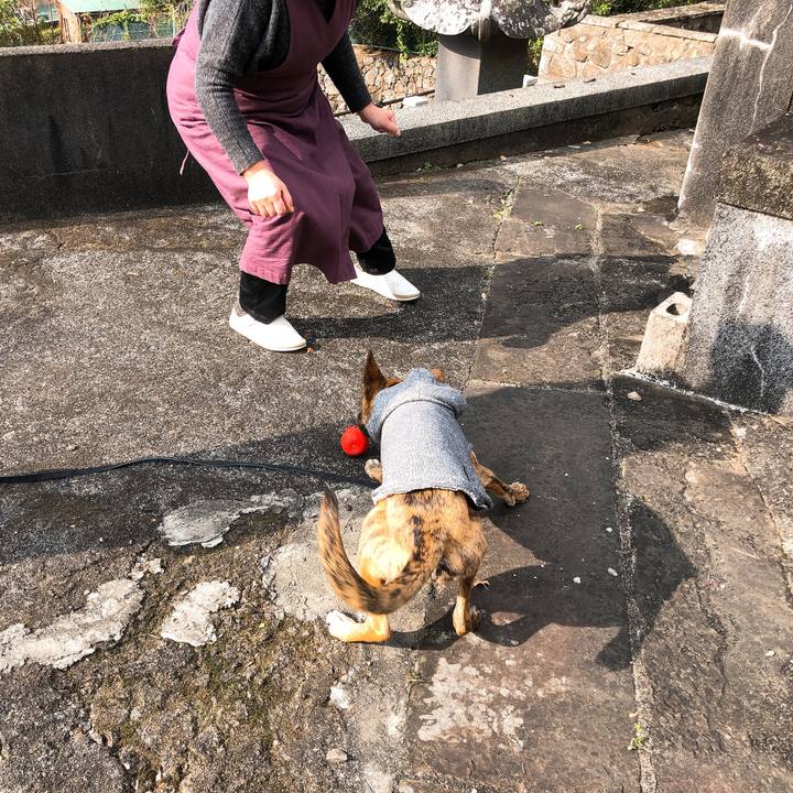 2c8e75ec 57ce 4e31 9168 691da768ac0a 1578143080545