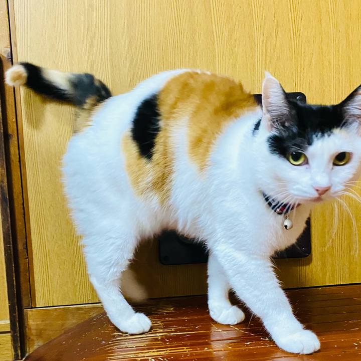 2c8eebf1 7ce3 43a3 9e09 e735e97a388f 1670150977026