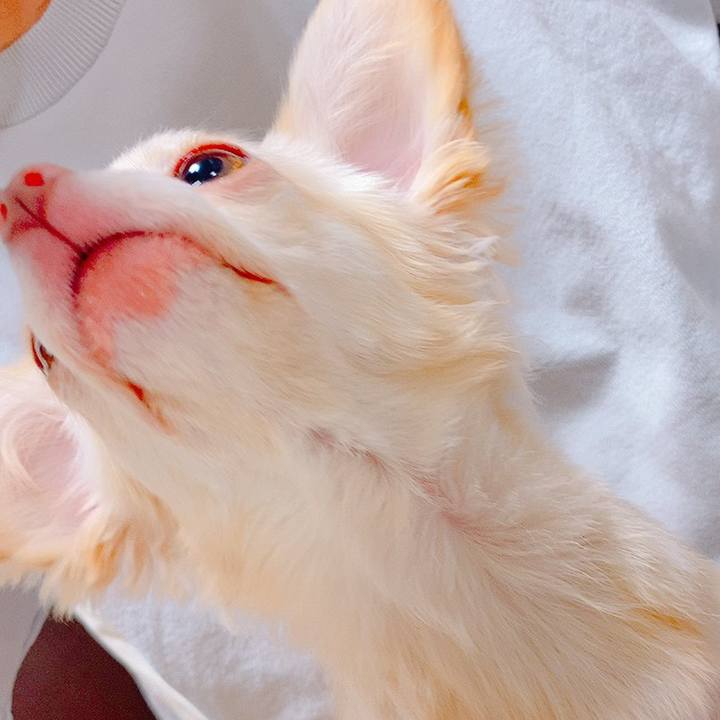 2c8f054d 17a4 4470 8d10 8de159fc0721 1629981268449