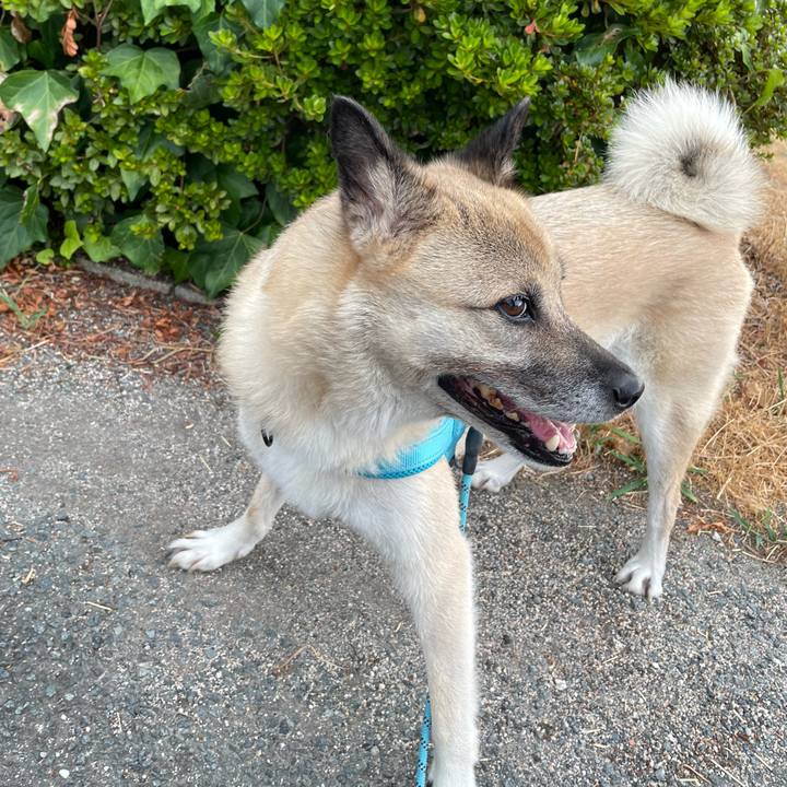 2c8f2843 5763 4fe5 8b65 56ded762a79e 1724159705731