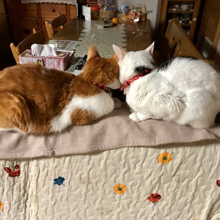 2c8f3515 f3fd 421a 88cd 2fdbbf3d867d 1549982812404