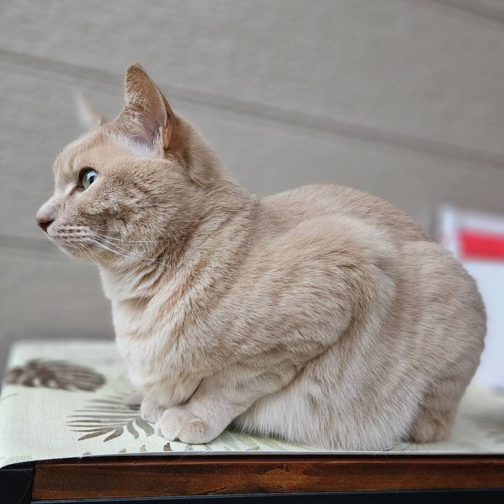 2c8f57f9 6ba9 4771 85ec 213f93f570bb 1748145740773