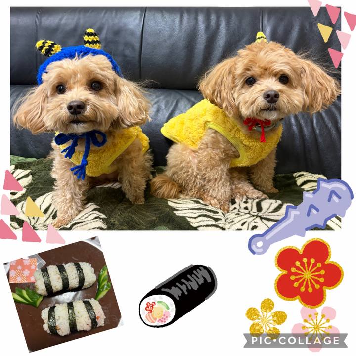 2c8f80dd 4ba4 48b2 b935 037804f1b378 1770126742266