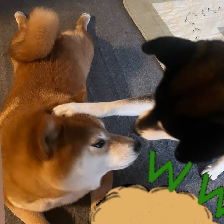 2c8fbd1b cadb 4681 8f31 6bcbeb7b81f0 1654123319617