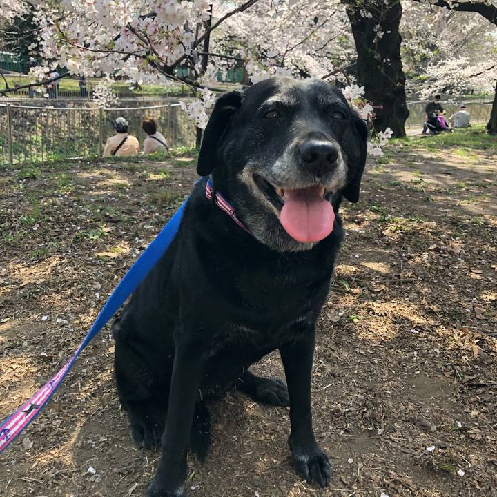 2c8fd76a 676d 4a3c 8de2 99d37d2d71c1 1616742973677