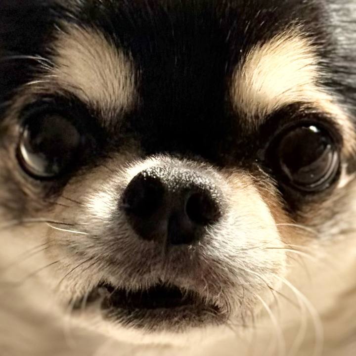 2c8fefc4 9b42 4131 82c1 ea9cf35e3c62 1764049492517