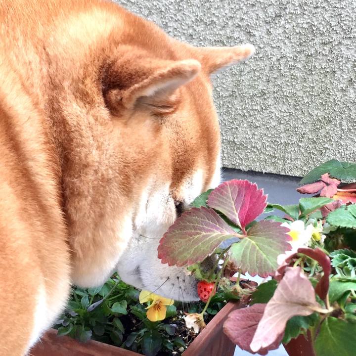 2c8ff851 8962 4e2b b29d f8d01a4773bd 1550839068431