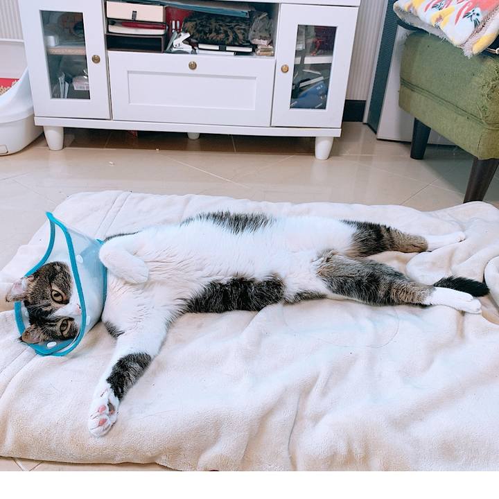 2c901b6d 4f11 4aa1 bbf8 99517db575ba 1601559773503