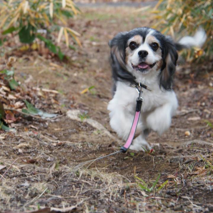 2c902b70 5f95 4def b92b e91d31b8ea68 1514094052007