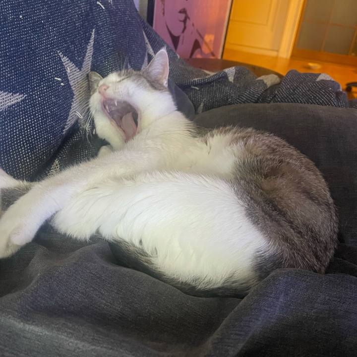 2c904374 d959 462e 8952 2c1f5e3a352c 1628836558619