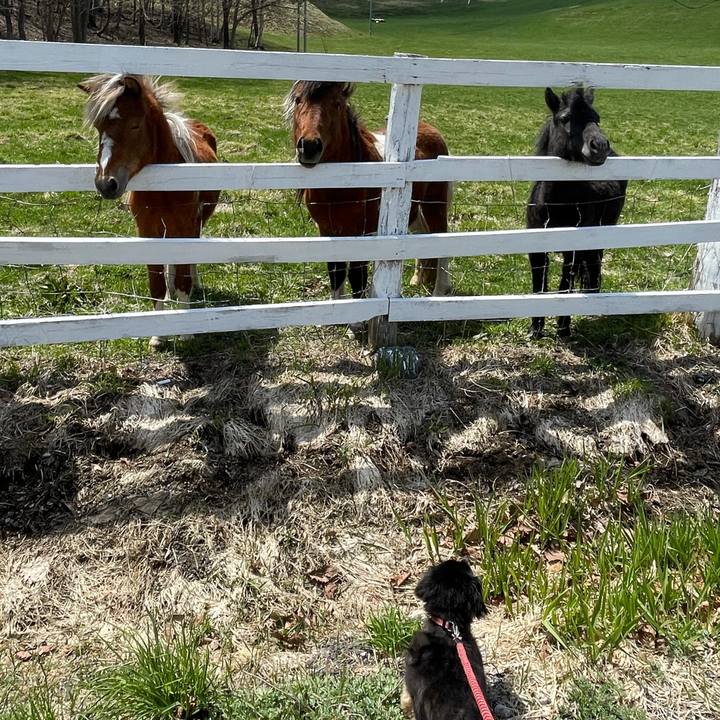 2c906c91 b167 4729 a1c1 fccc9e776712 1622758336635